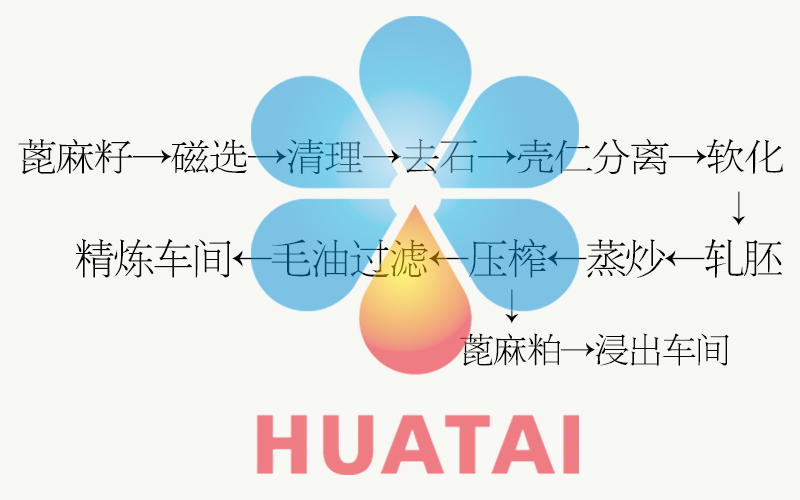 蓖麻预处理工艺